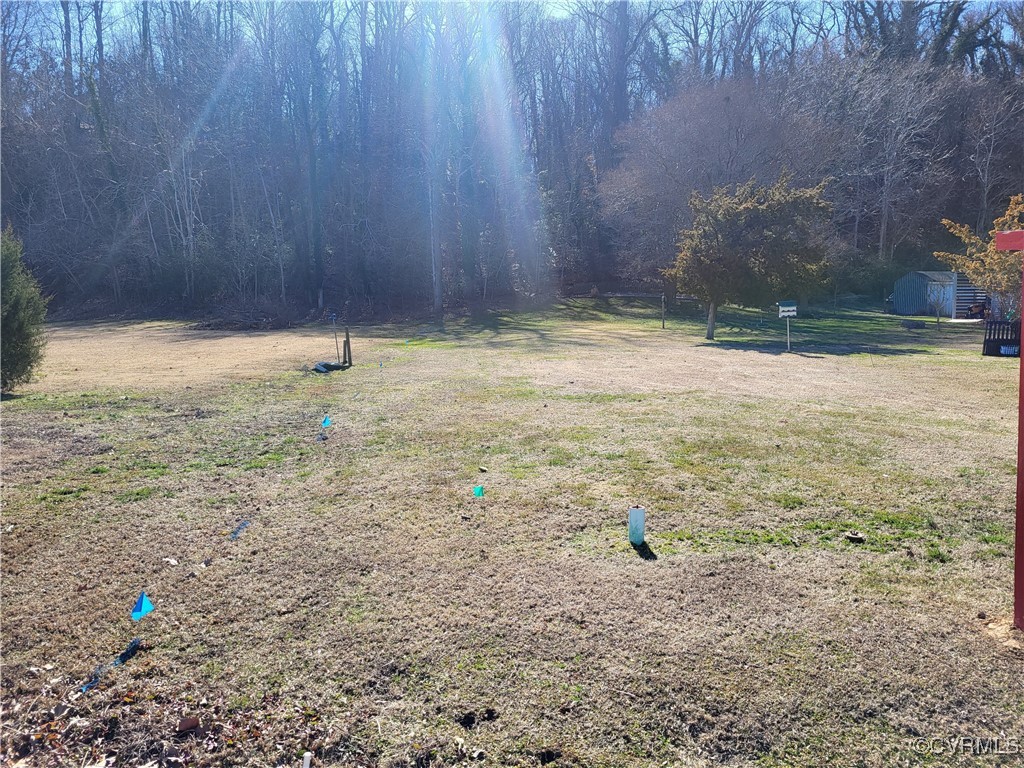 Tbd Villa Road Spring Grove, VA 23881 - Photo 2 of 8