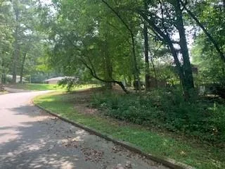 a view of a lush green forest