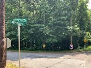 a close up of a tree in a garden