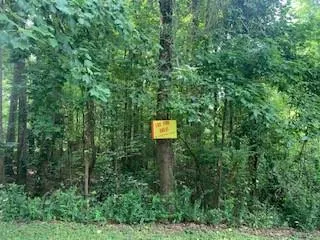 a view of a field with trees in the background