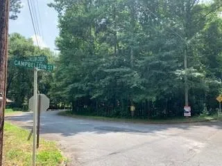 a view of a yard with plants and trees