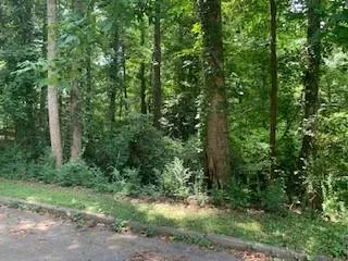 a view of a back yard