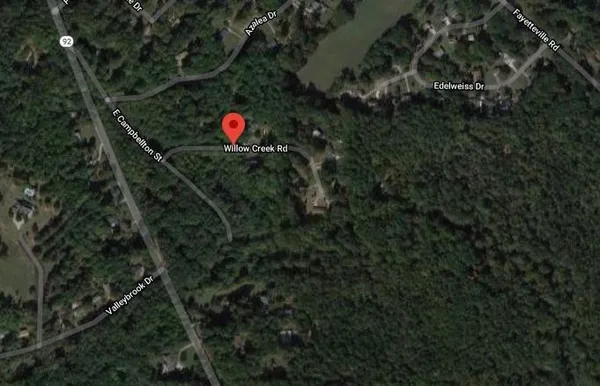 a view of a lush green forest