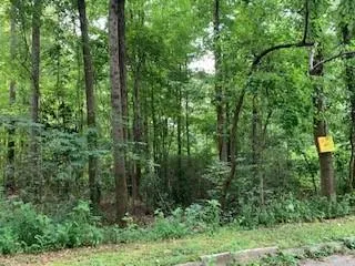 a view of a lush green forest