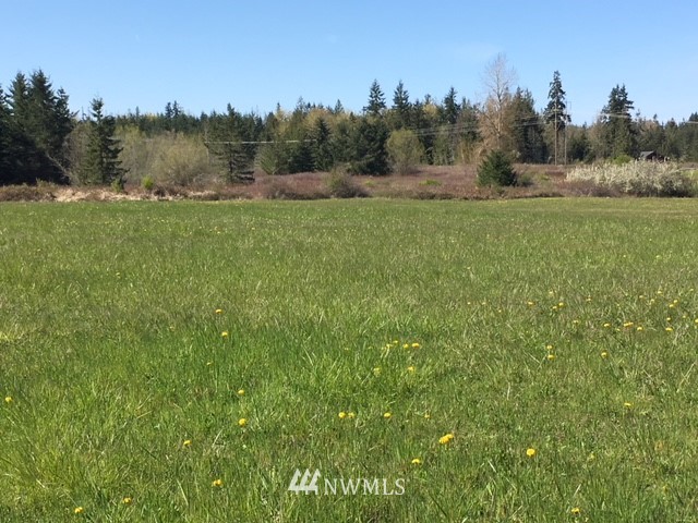 9999 Olson Road Sequim, WA 98382 - Photo 4 of 6
