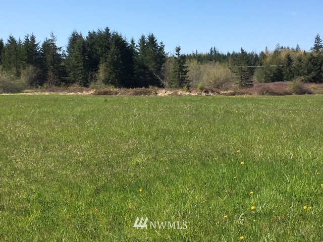 9999 Olson Road Sequim, WA 98382 - Photo 5 of 6