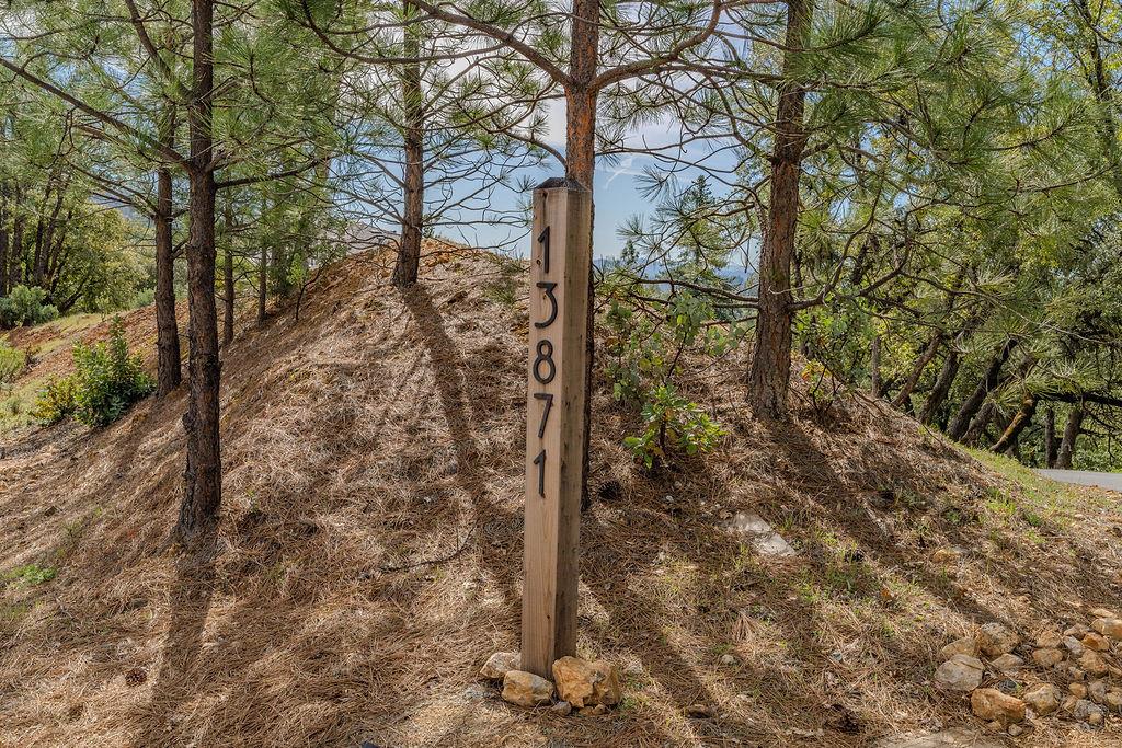 13871 Petersen Ranch Drive Pine Grove, CA 95665 - Photo 50 of 74 a yard with tall trees