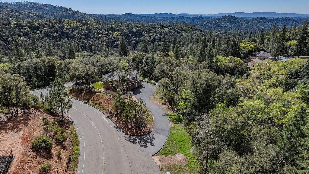13871 Petersen Ranch Drive Pine Grove, CA 95665 - Photo 57 of 74 a view of a city with lush green forest