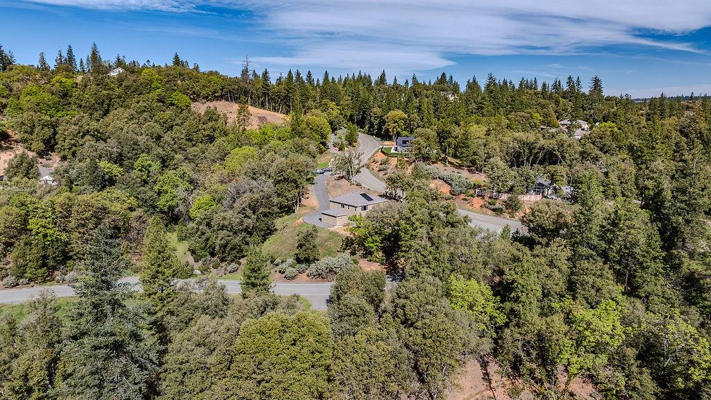 13871 Petersen Ranch Drive Pine Grove, CA 95665 - Photo 63 of 74 a view of a bunch of trees and bushes