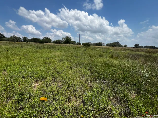 a view of a pathway both side of grassy field with shrub