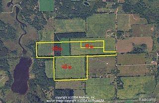 12404 Roepke Road Gregory, MI 48137 - Photo 1 of 1 AERIAL