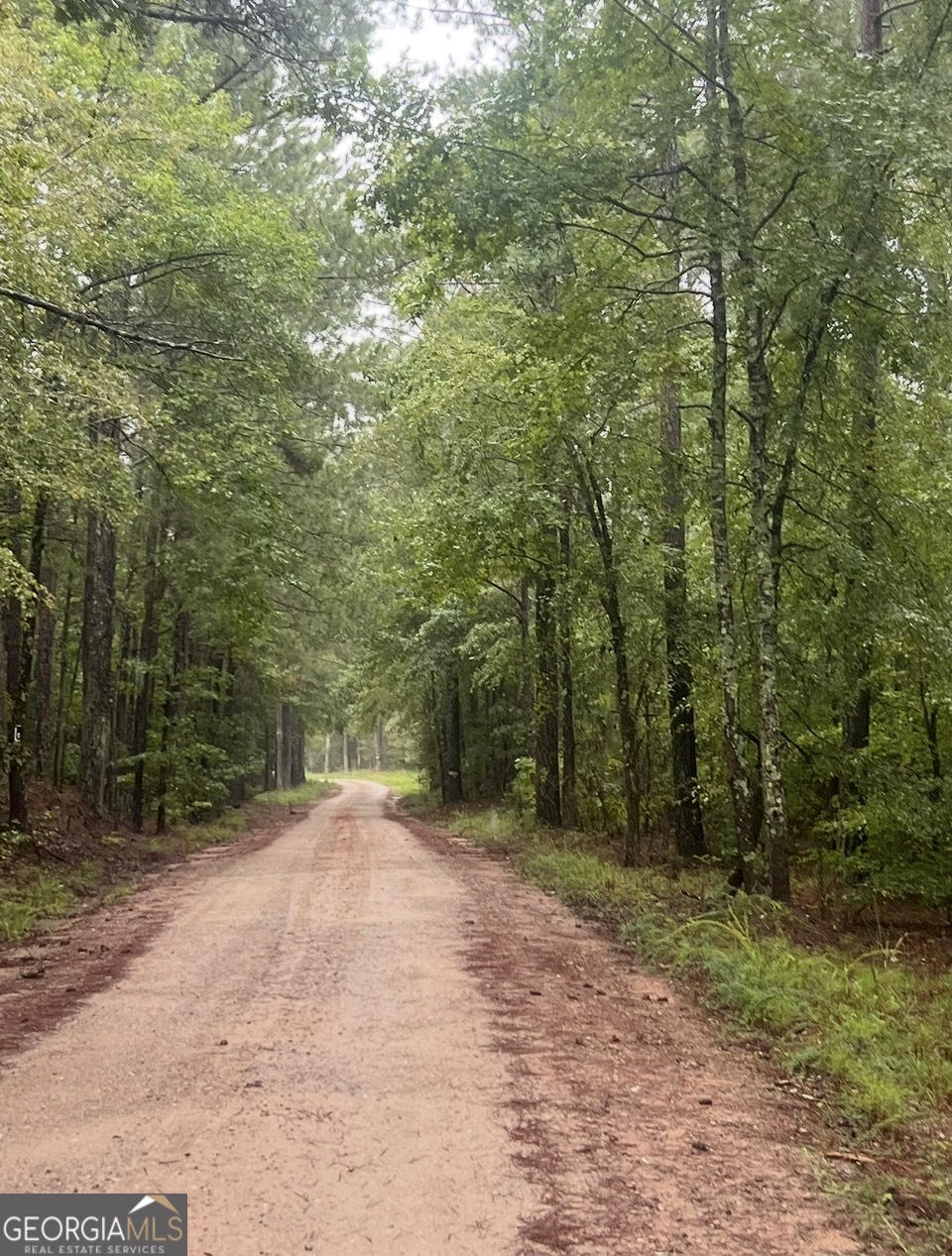 3 Smith Rocky Branch Road Carlton, GA 30627 - Photo 12 of 13
