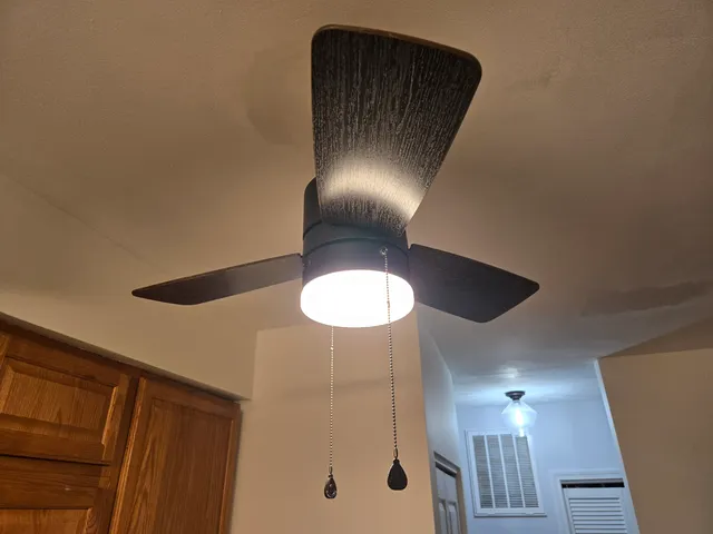 a room with wooden floor and potted plant