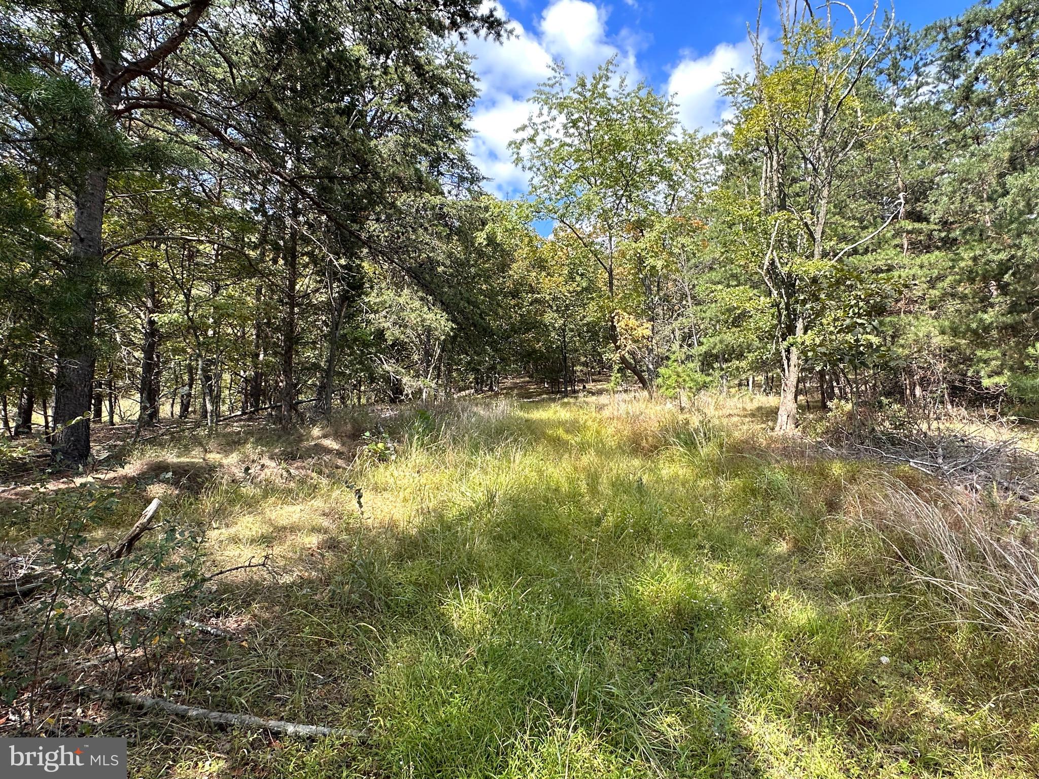 Knobley Road Keyser, WV 26726 - Photo 10 of 19