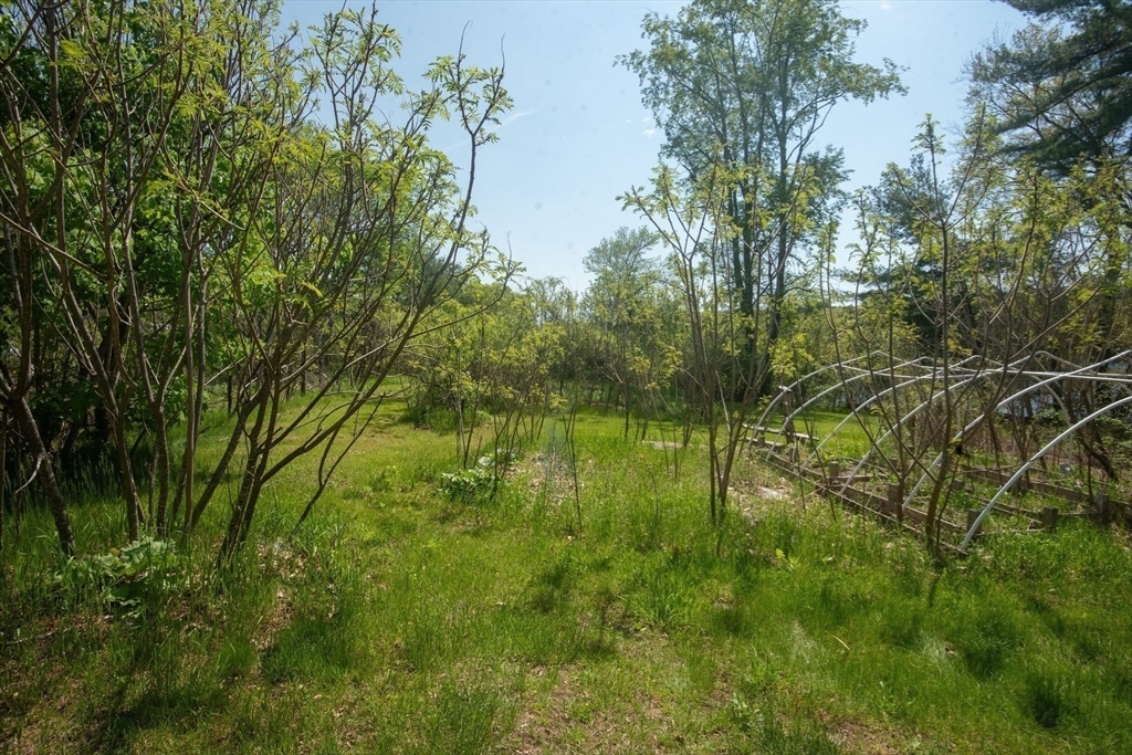 920 Worcester Road Barre, MA 01005 - Photo 38 of 40 a view of lake with green space