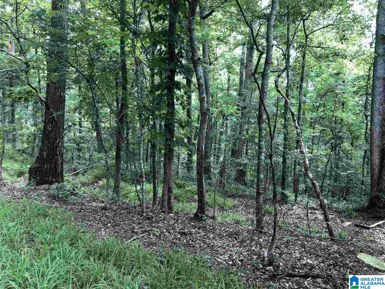 0 Maple Crest Lane Hayden, AL 35079 - Photo 24 of 30
