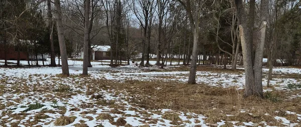 $39,000 | 0 Mill Street, Onekama, MI 49675