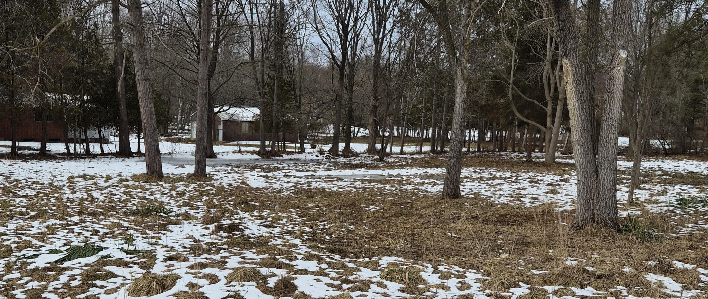 0 Mill Street Onekama, MI 49675 - Photo 1 of 2 flat lot with a few trees