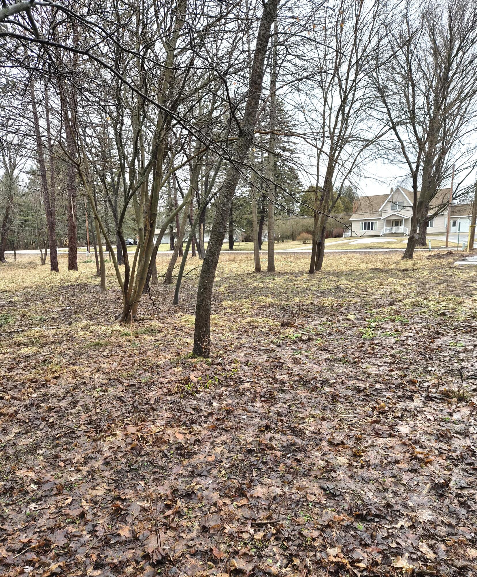 0 Mill Street Onekama, MI 49675 - Photo 2 of 2 15917(2)