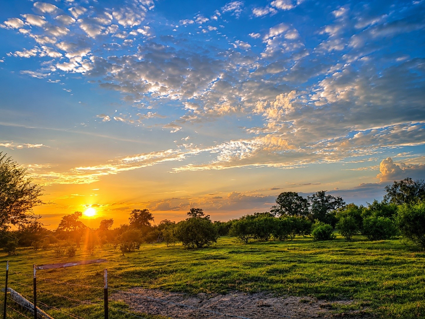 796 Shelly Road Goliad, TX 77963 - Photo 1 of 39 Gallery Image 1