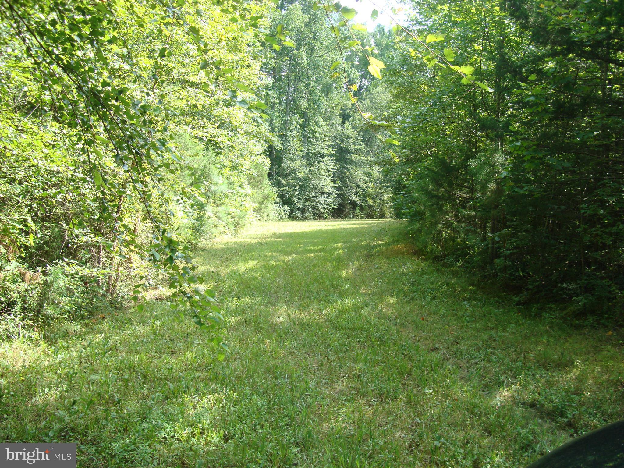 Landora Bridge Road Ruther Glen, VA 22546 - Photo 13 of 27 a view of outdoor space and yard