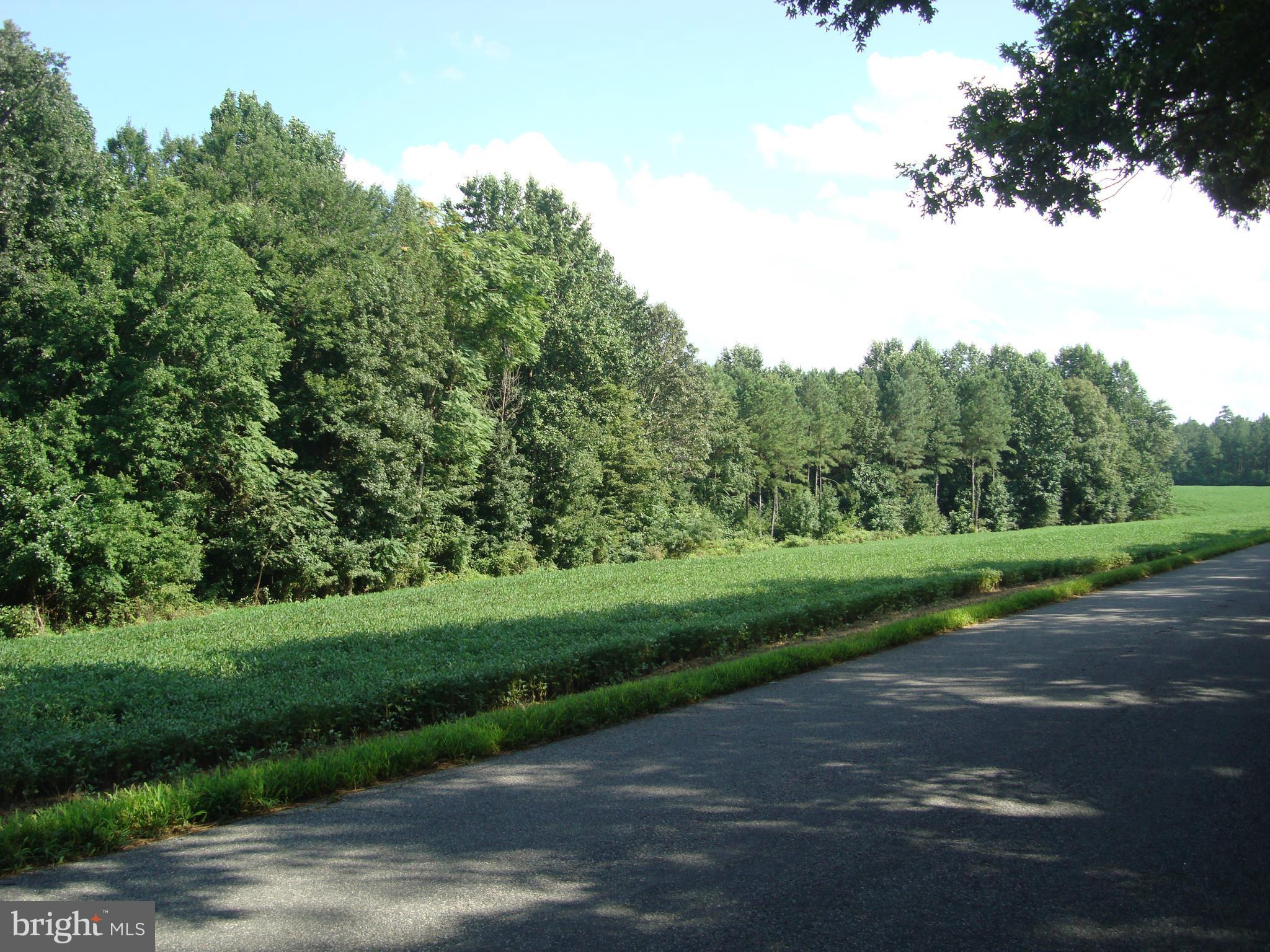 Landora Bridge Road Ruther Glen, VA 22546 - Photo 20 of 27 a view of a grassy field with trees