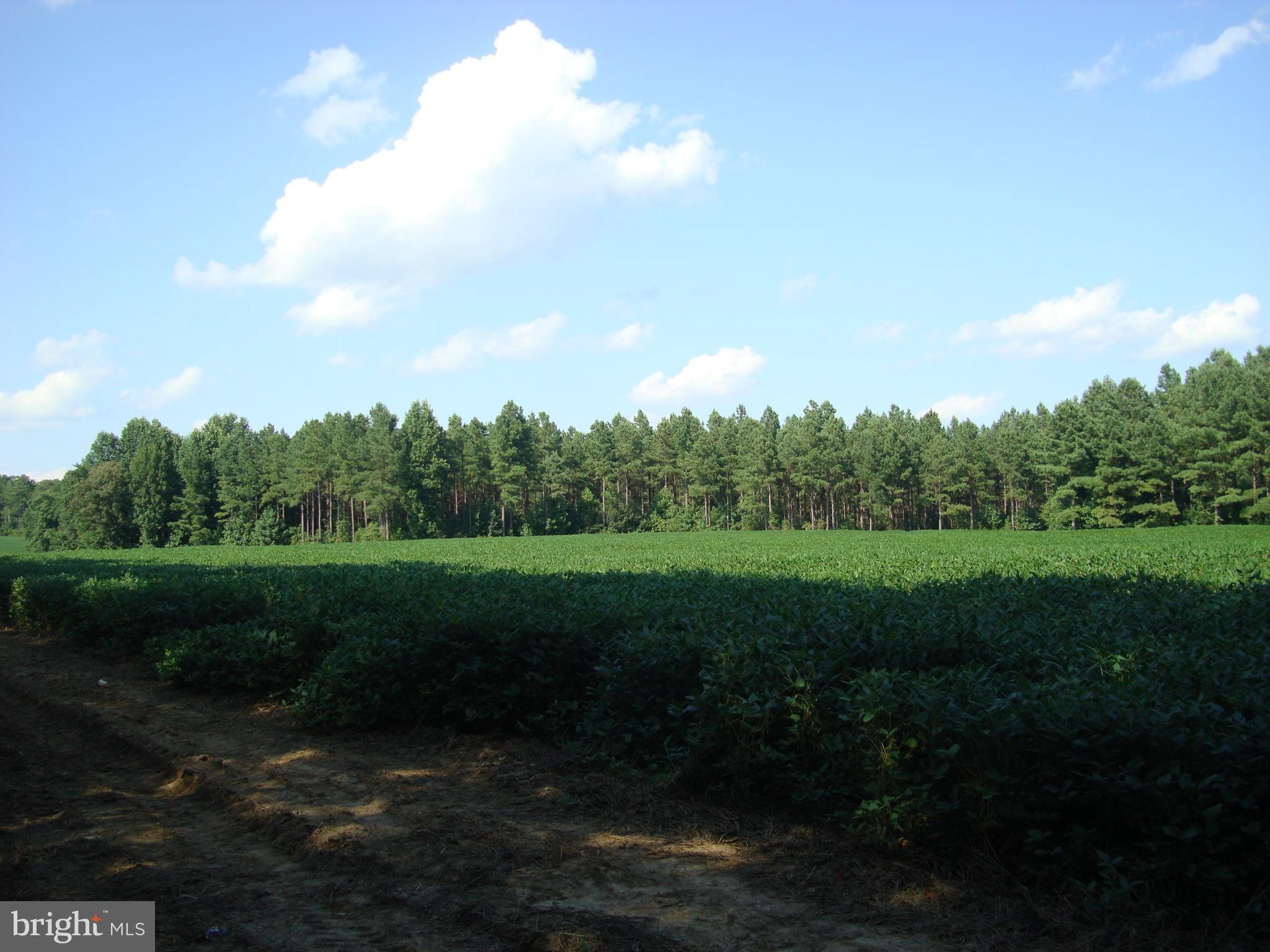 Landora Bridge Road Ruther Glen, VA 22546 - Photo 26 of 27 a view of outdoor space and yard