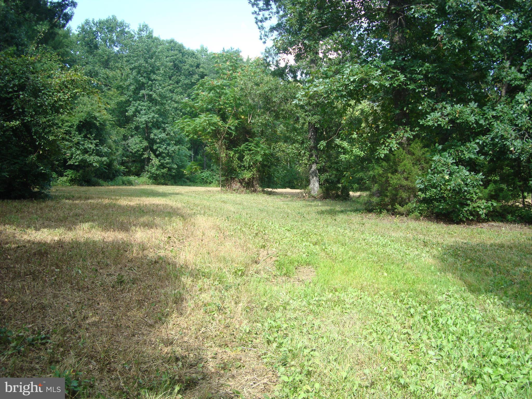 Landora Bridge Road Ruther Glen, VA 22546 - Photo 4 of 27 a view of yard with green space