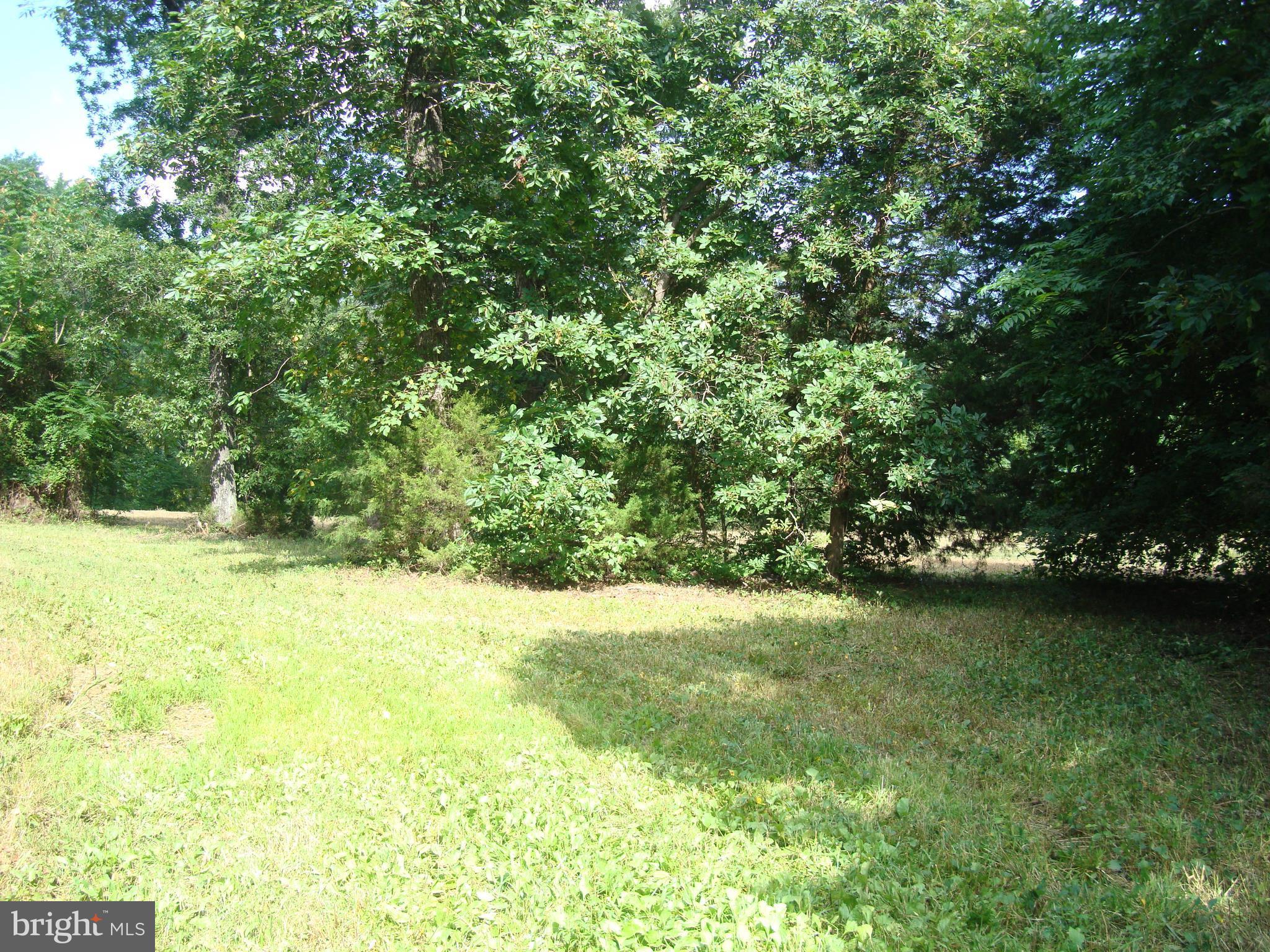 Landora Bridge Road Ruther Glen, VA 22546 - Photo 5 of 27 a view of an outdoor space and a yard