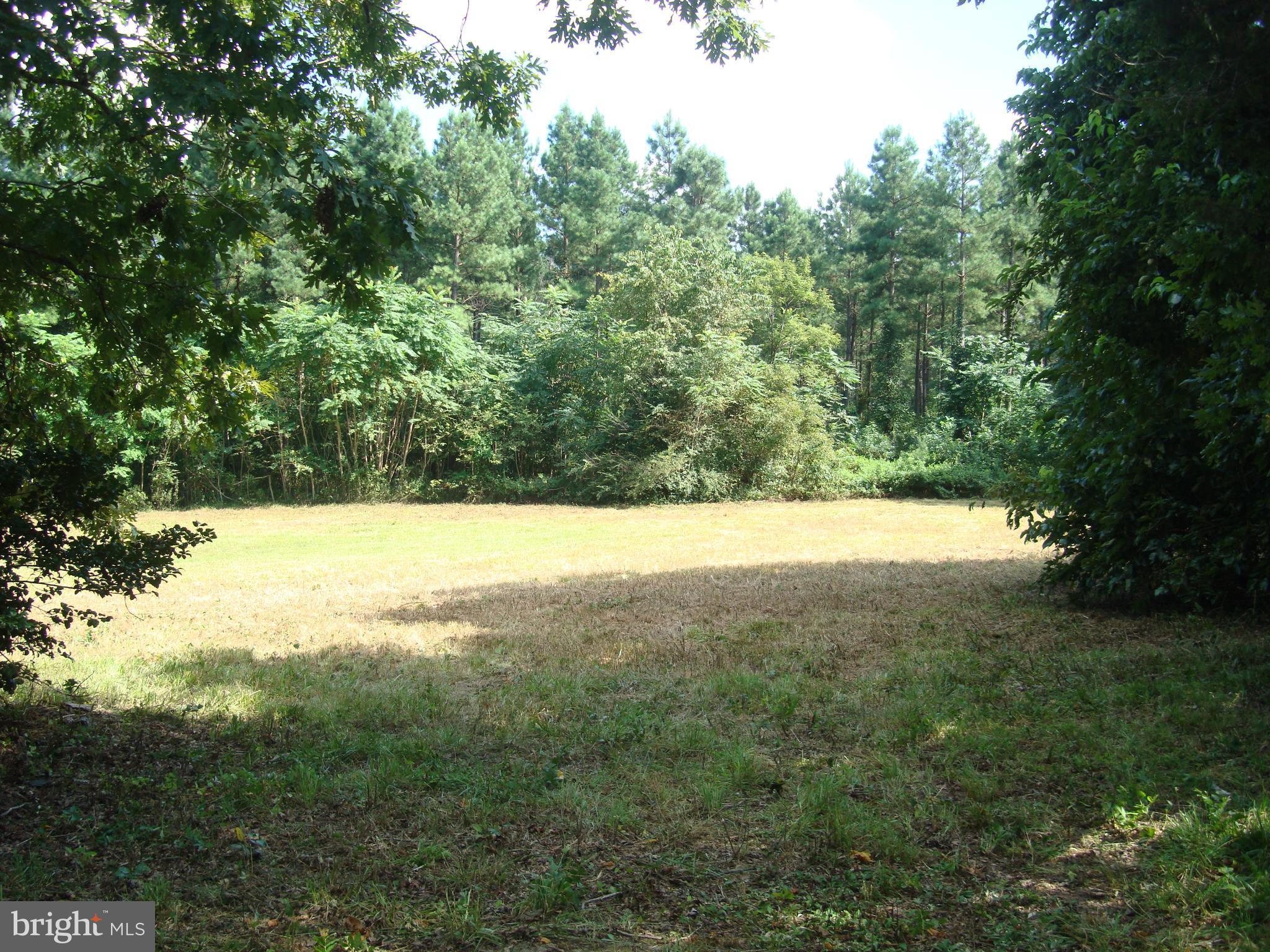 Landora Bridge Road Ruther Glen, VA 22546 - Photo 6 of 27 a view of an outdoor space and a lake view