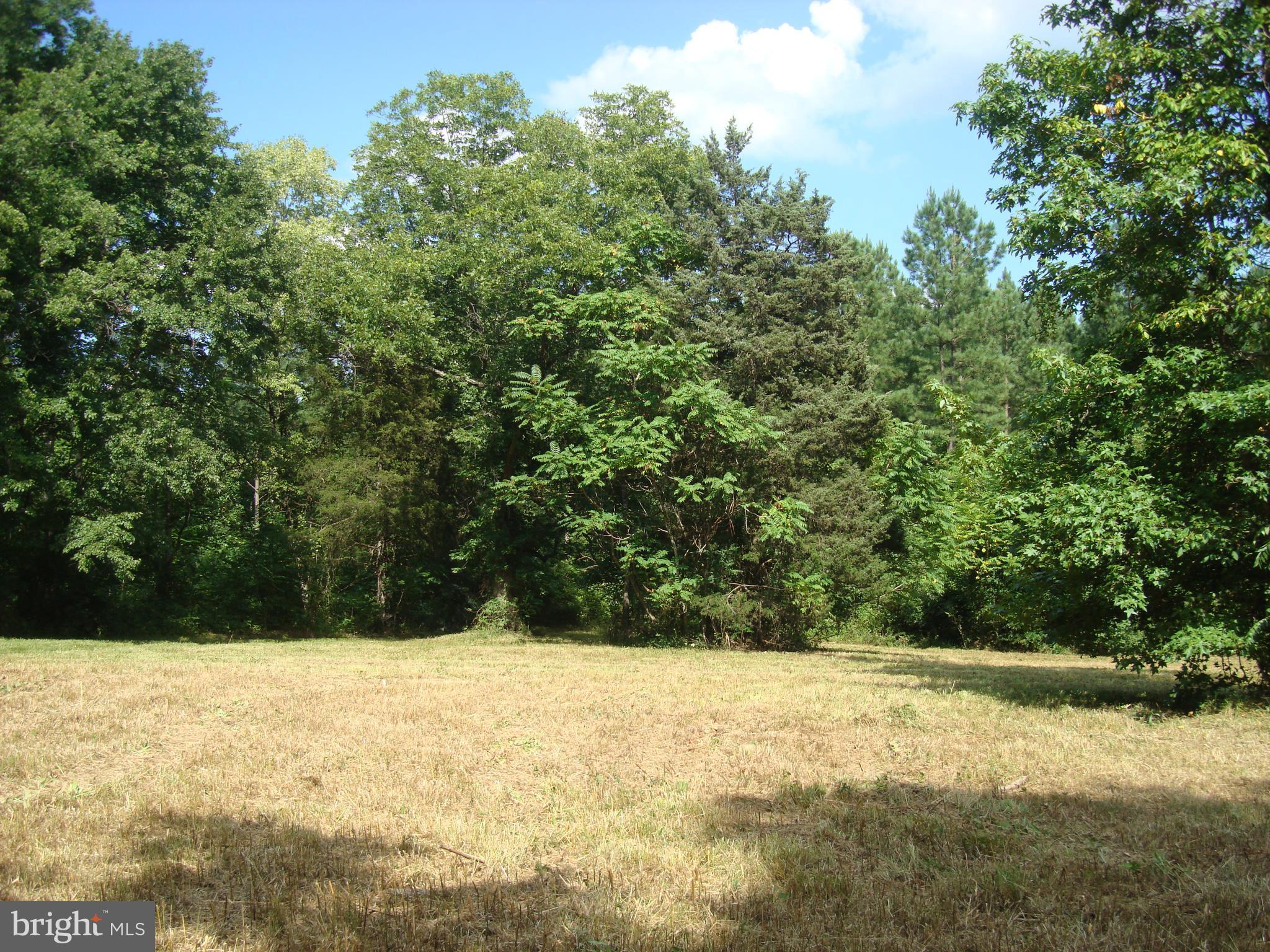 Landora Bridge Road Ruther Glen, VA 22546 - Photo 7 of 27 a view of yard