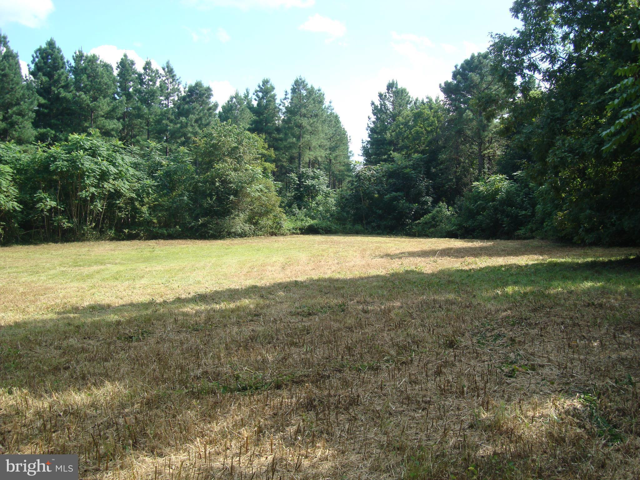 Landora Bridge Road Ruther Glen, VA 22546 - Photo 8 of 27 a view of a field with an ocean view