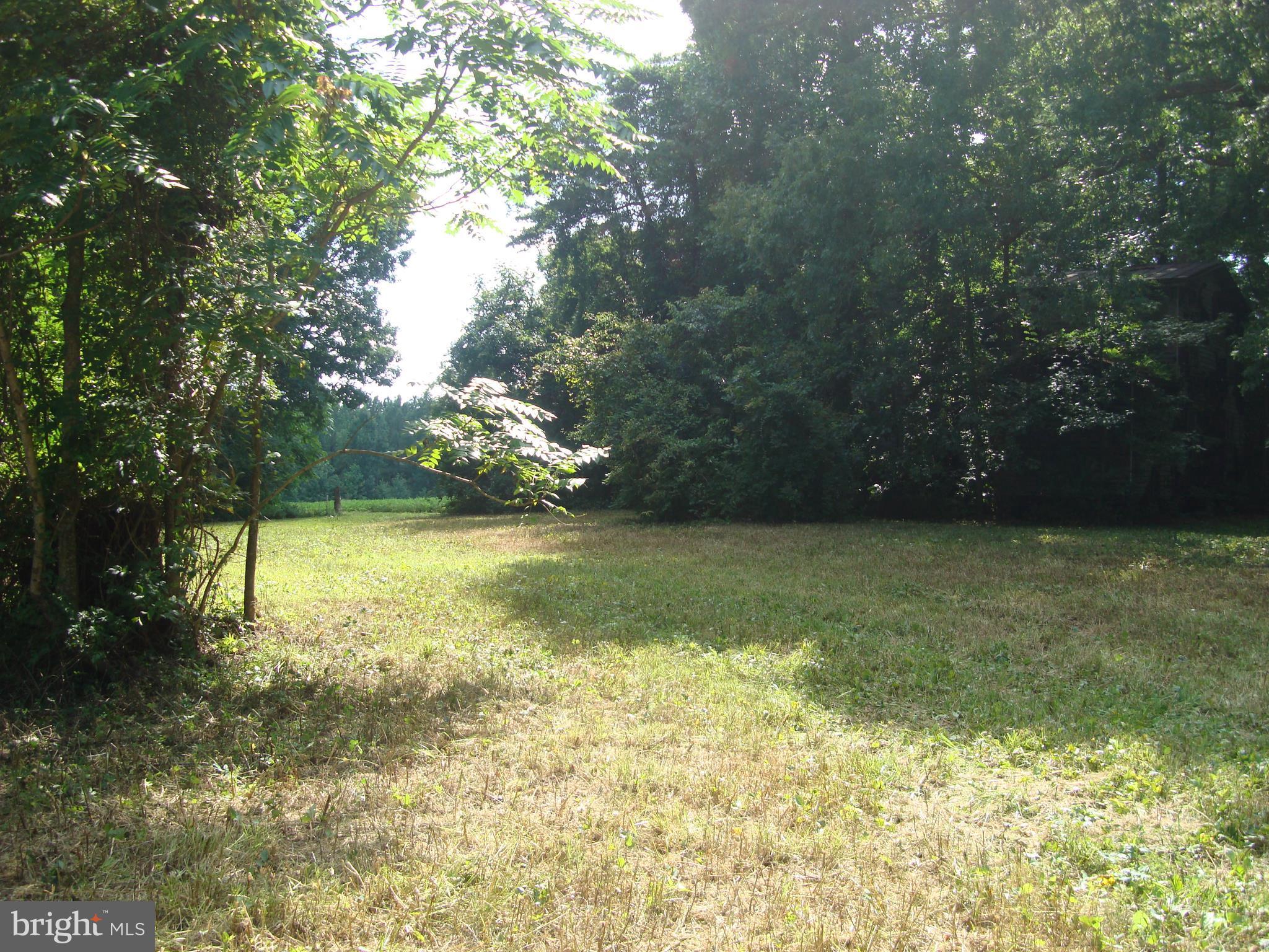 Landora Bridge Road Ruther Glen, VA 22546 - Photo 9 of 27 a view of yard with green space