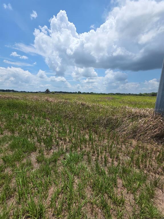 Metheny Road Wauchula, FL 33873 - Photo 8 of 11