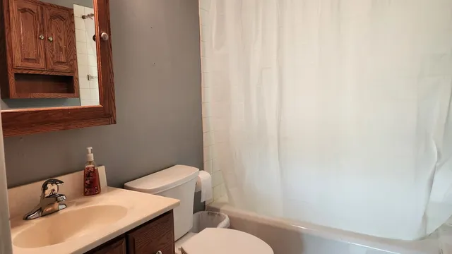 $1,400 | 228 South Church Street, Unit 1, Wauconda, IL 60084