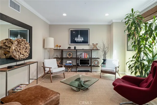 a living room with furniture a rug and a potted plant