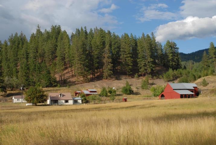 2471 Eagle-Lambert Road Chewelah, WA 99109 - Photo 1 of 20 Gallery Image 1