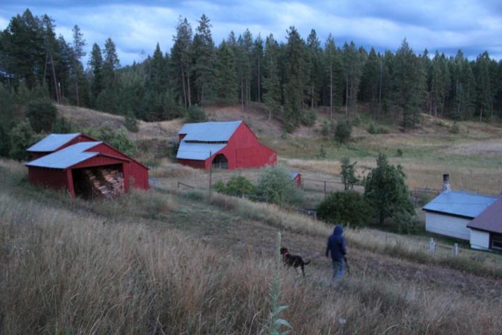 2471 Eagle-Lambert Road Chewelah, WA 99109 - Photo 3 of 20 Gallery Image 3