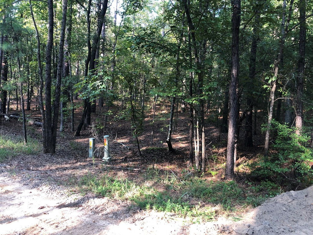3945 Settlement Road Dalzell, SC 29040 - Photo 3 of 4