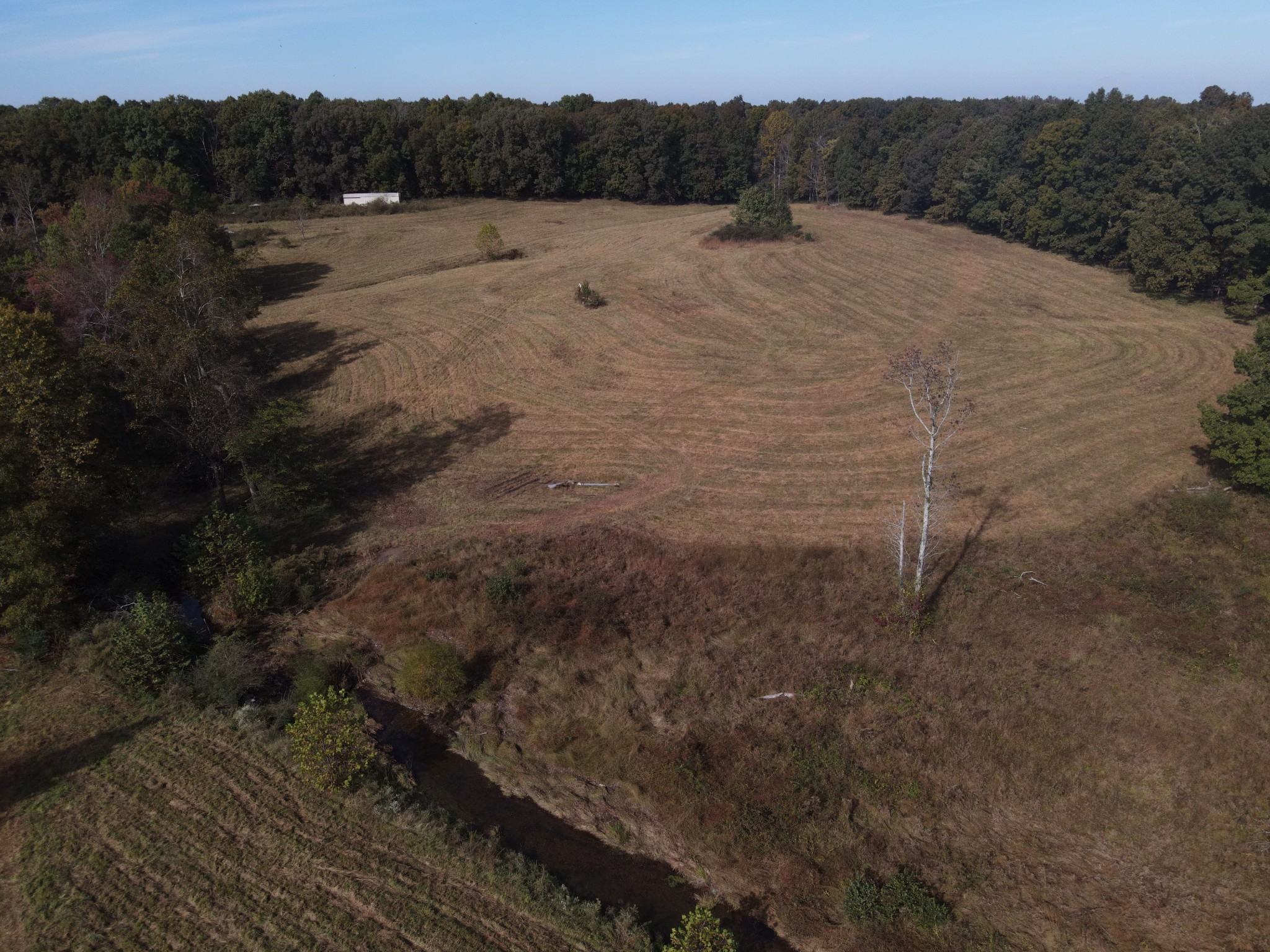 0 Peppertown Road Loretto, TN 38469 - Photo 5 of 8 a view of a dry yard