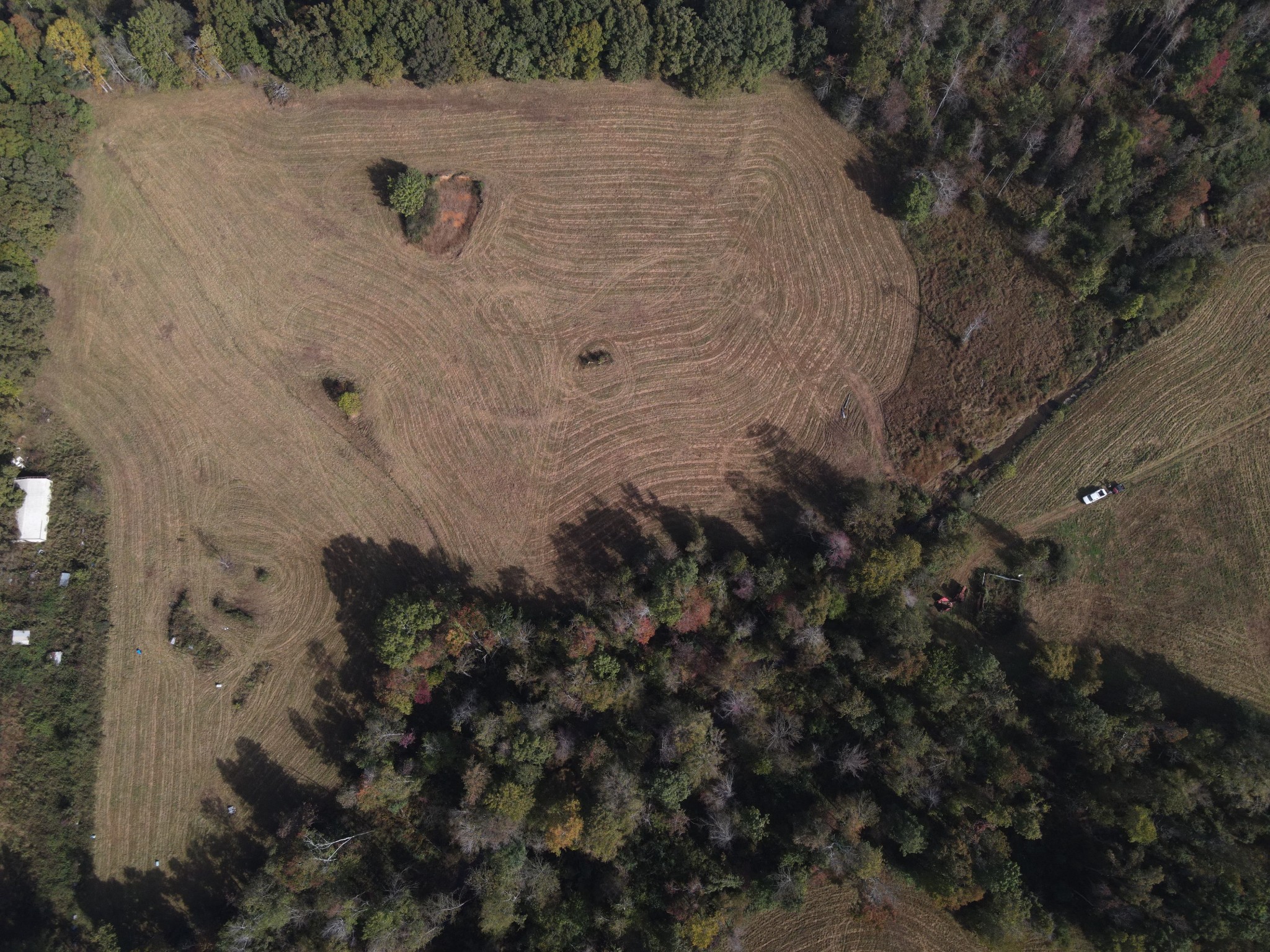 0 Peppertown Road Loretto, TN 38469 - Photo 6 of 8 a view of a dry yard