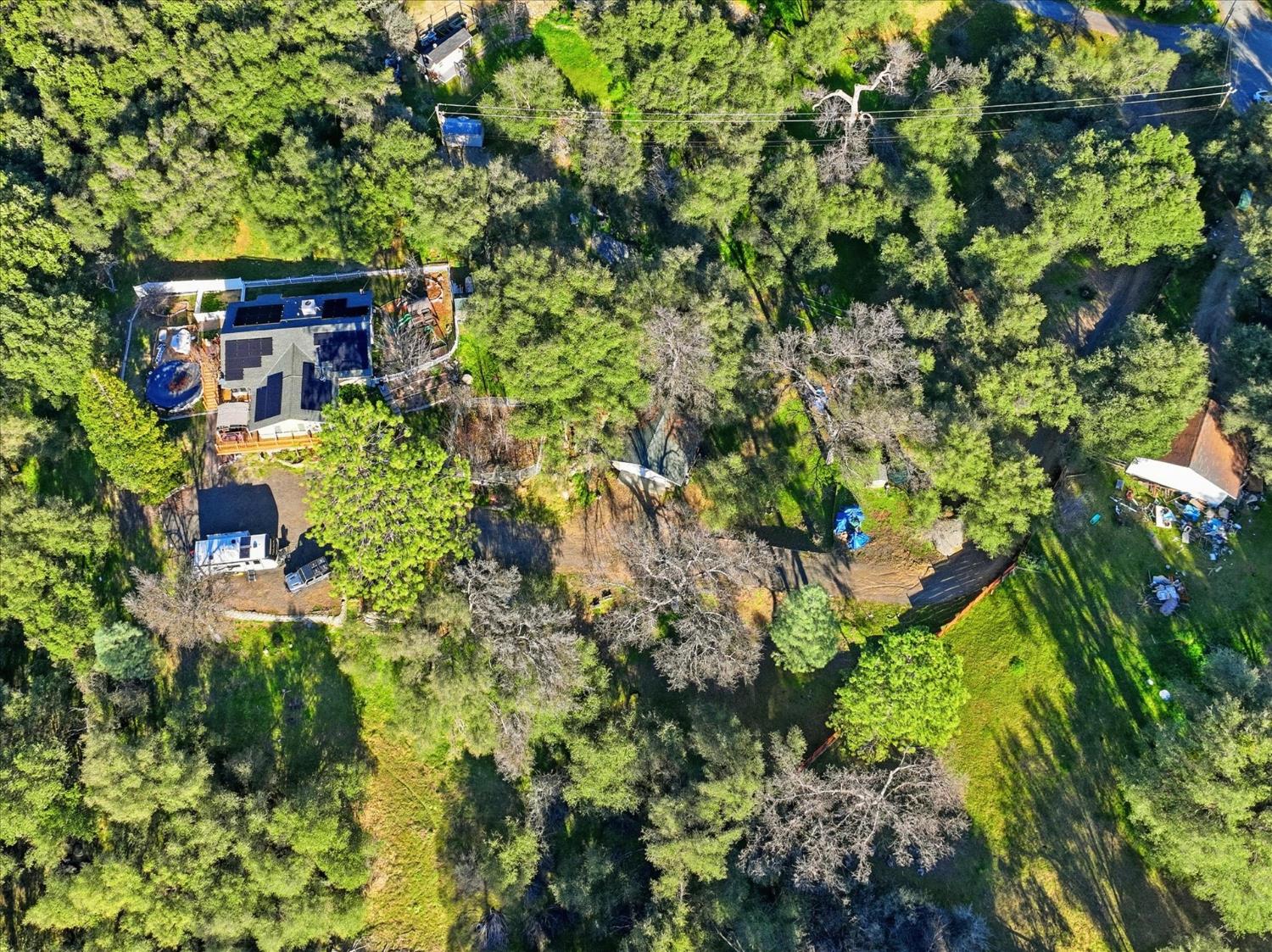 40182 Alerna Way Oakhurst, CA 93644 - Photo 20 of 49 a backyard of a house with lots of green space and garden