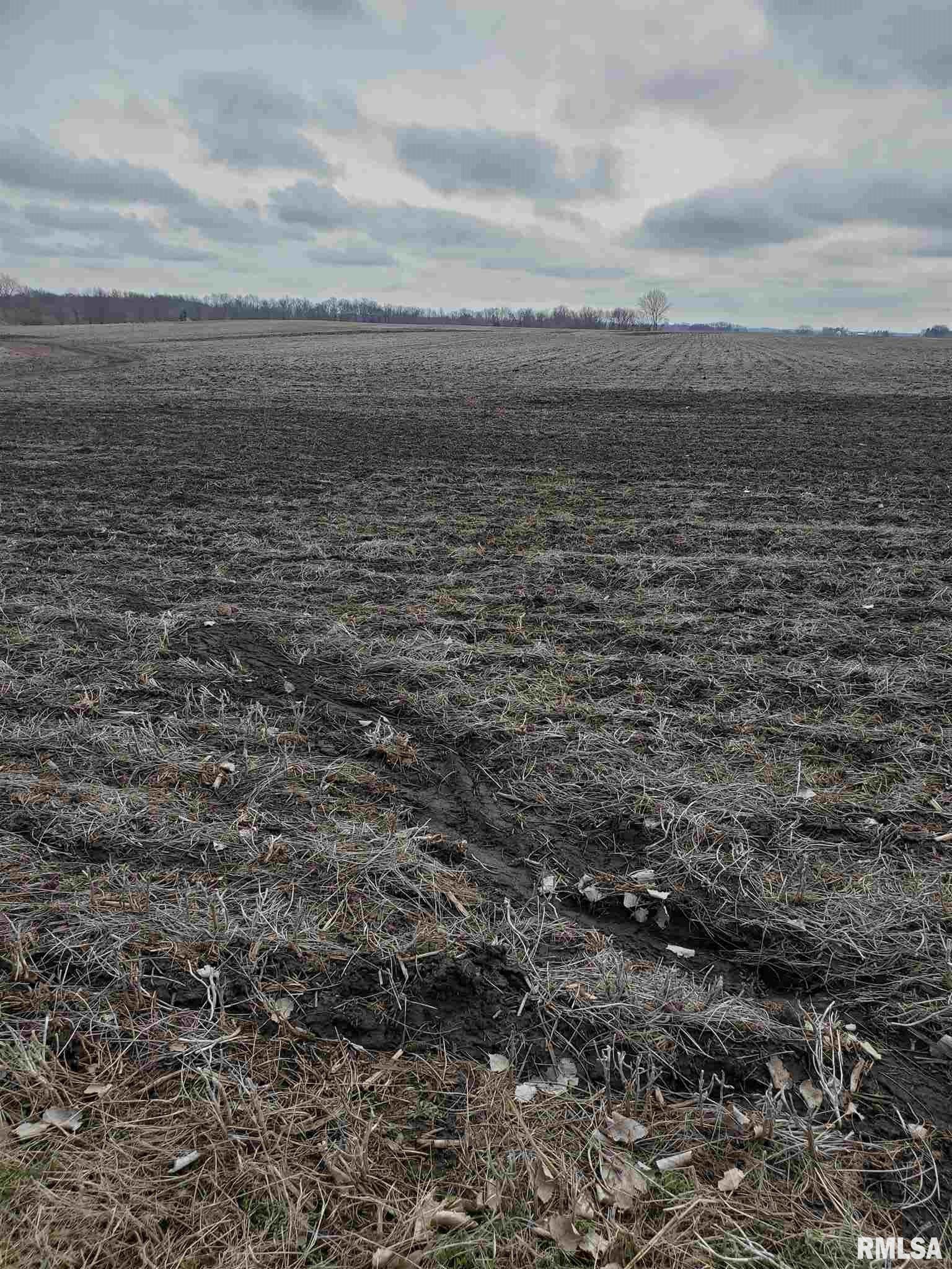 0 North Route 40 Dunlap, IL 61525 - Photo 1 of 2 Gallery Image 1