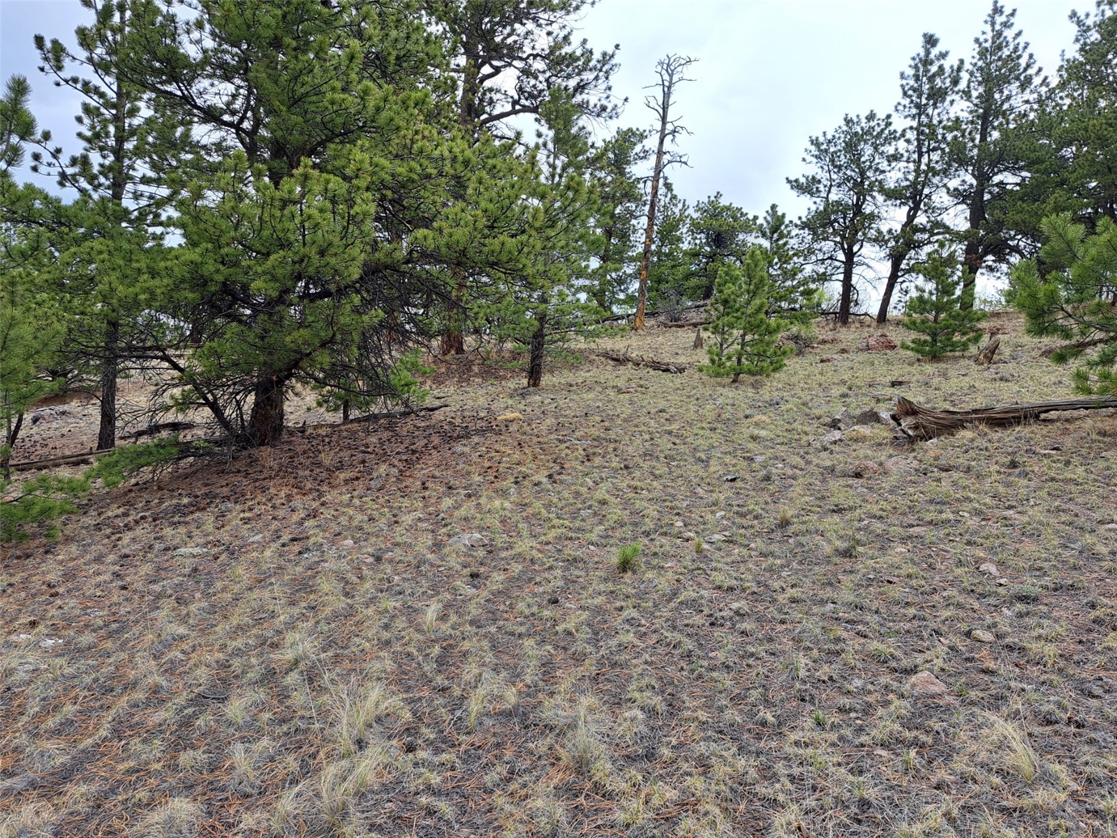 ` Dog Soldier Road Hartsel, CO 80449 - Photo 8 of 34 Gallery Image 8