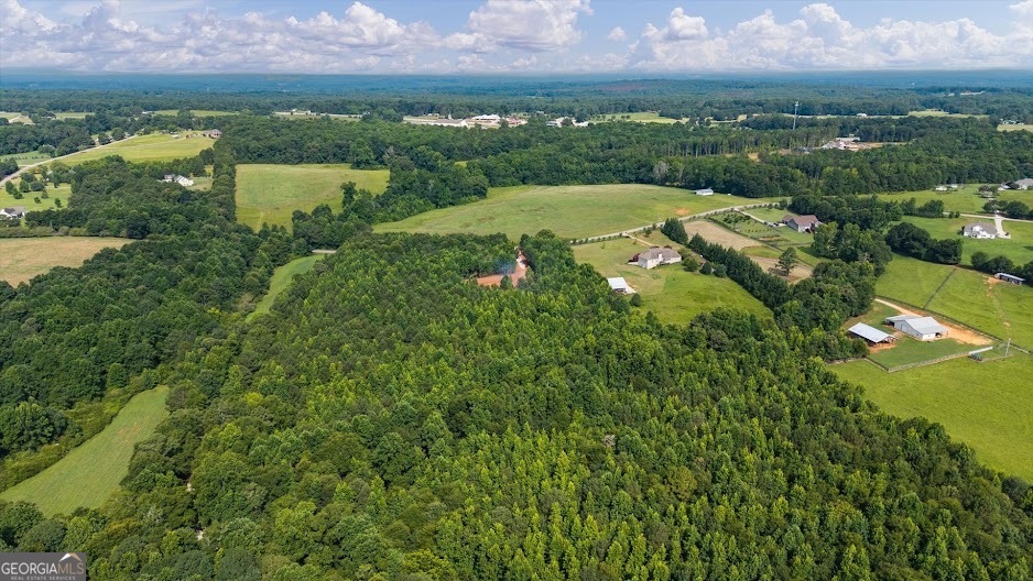 0 Shirey Dairy Road Carrollton, GA 30117 - Photo 10 of 19