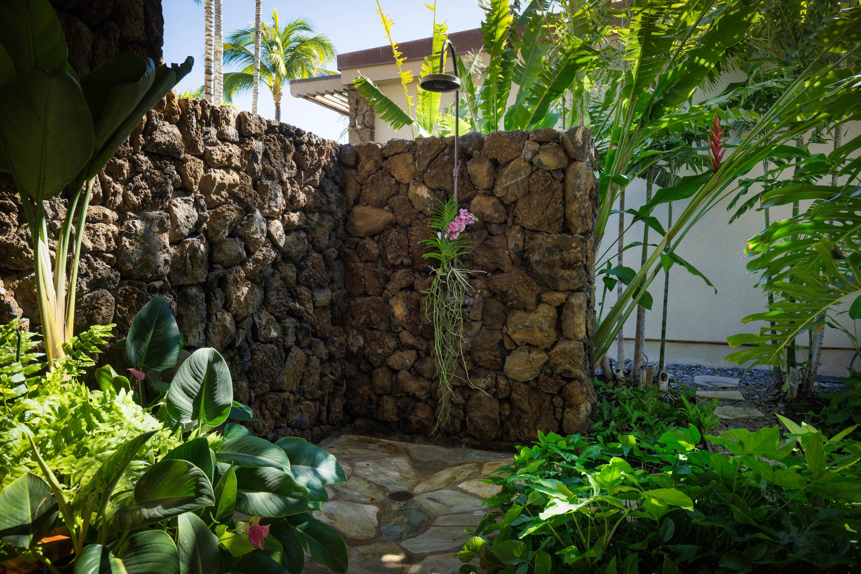 62-3979 Kaunaoa Iki Road, Unit 2A Kamuela, HI 96743 - Photo 9 of 17 a backyard of a house with lots of green space