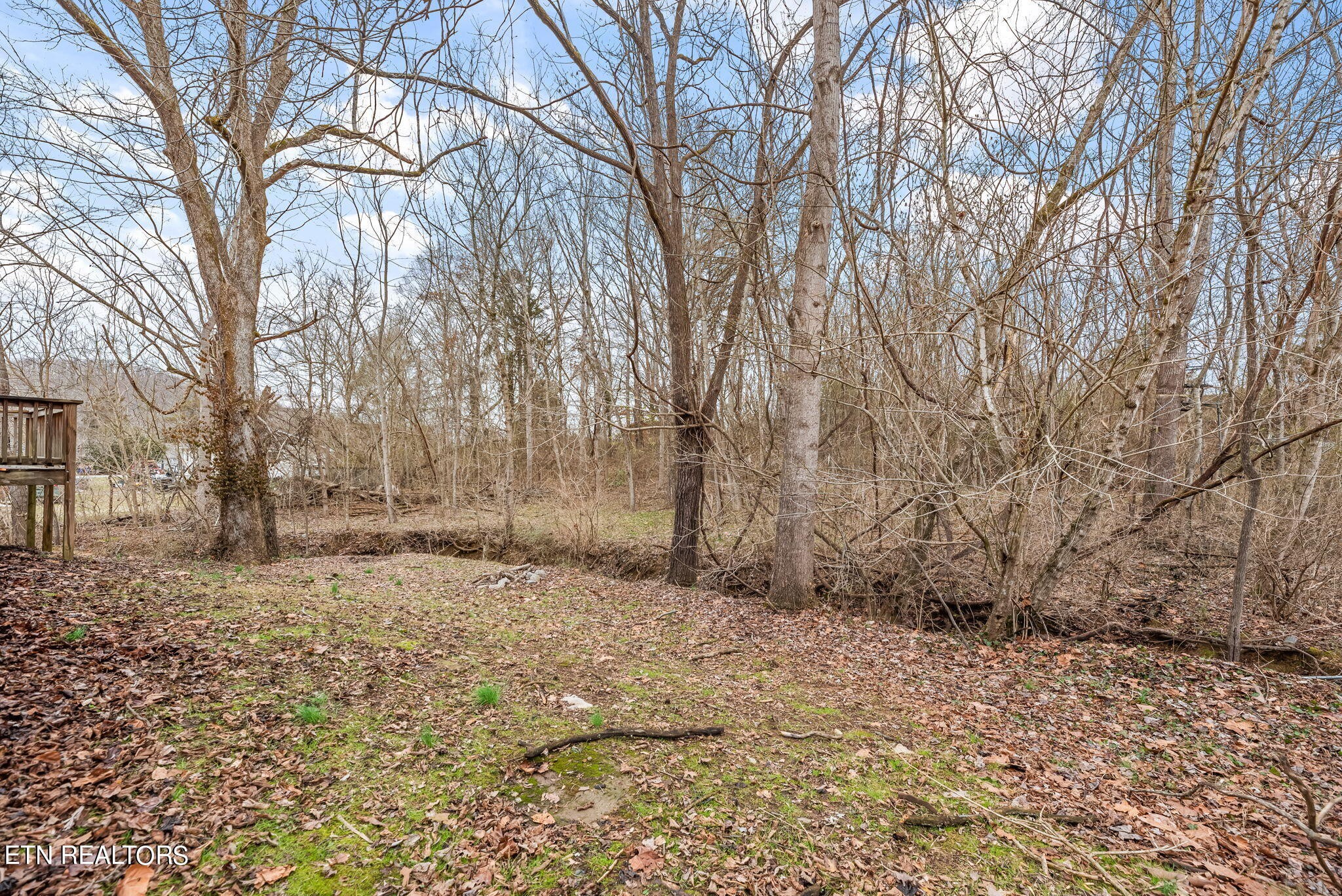 105 Houston Avenue Oak Ridge, TN 37830 - Photo 19 of 22 Gallery Image 19