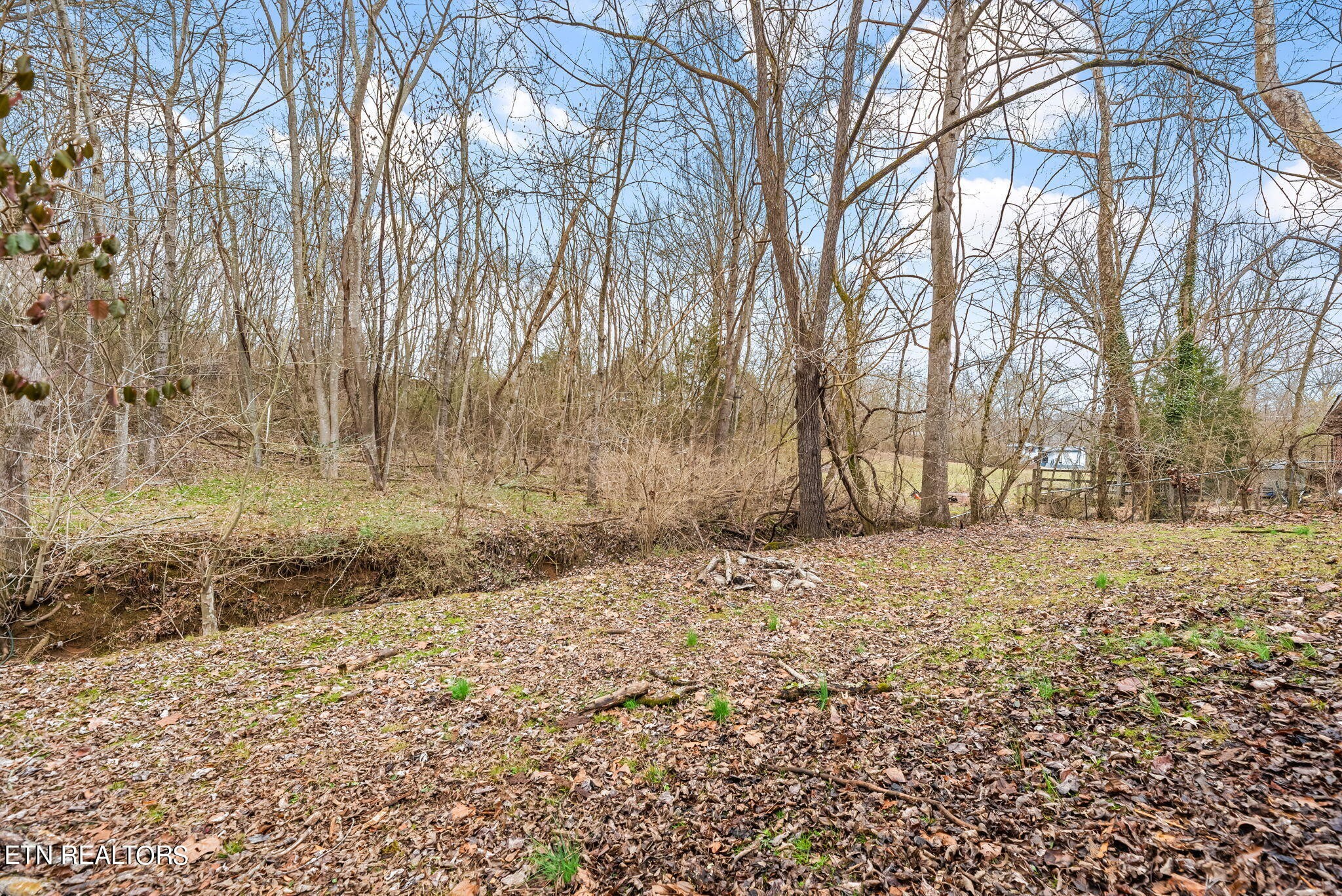 105 Houston Avenue Oak Ridge, TN 37830 - Photo 21 of 22 Gallery Image 21