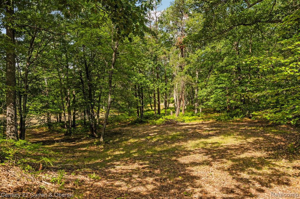 3265 Roost Road Onaway, MI 49765 - Photo 31 of 51