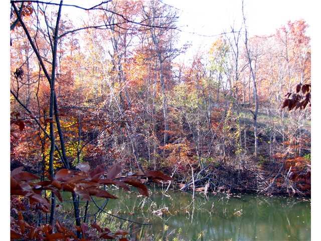 0 East 500 S Road Franklin, IN 46131 - Photo 11 of 24 Gallery Image 11